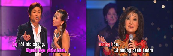 Screen Shot of Vietnamese DVD Songs